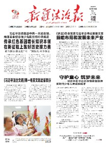 新疆法治报(汉)